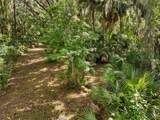 TBD Se Wacahoota Road - Photo 2