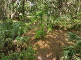 TBD Se Wacahoota Road - Photo 3