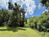 TBD Pine Avenue - Photo 25