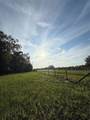 5109 10TH Street - Photo 6
