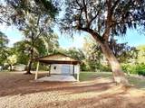 1043 County Road 21B - Photo 28