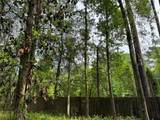 713 95TH Terrace - Photo 20