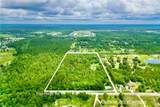 3622 Trail Ridge Road - Photo 8