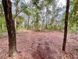 125 Silver Dollar Pond Road - Photo 12