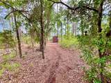 125 Silver Dollar Pond Road - Photo 13