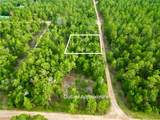 125 Silver Dollar Pond Road - Photo 31
