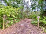 125 Silver Dollar Pond Road - Photo 6