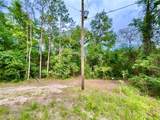 125 Silver Dollar Pond Road - Photo 8