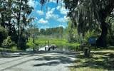 2362 County Road 1469 - Photo 76
