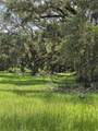 7563 County Road 405 - Photo 8