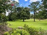10961 Palmetto Boulevard - Photo 8