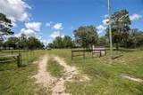 11751 16TH Lane - Photo 78