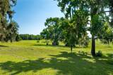 21601 Old Bellamy Road - Photo 41
