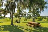 21601 Old Bellamy Road - Photo 6