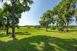 21601 Old Bellamy Road - Photo 7