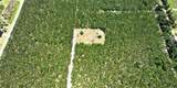 9970 154TH Avenue - Photo 15