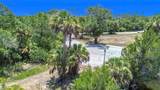 11441 Brown Pelican Path - Photo 12