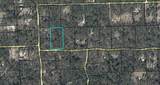  312TH Avenue - Photo 2