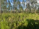 TBD Nw Cr 235 - Photo 5