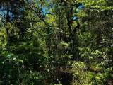 15185 15TH Street - Photo 7