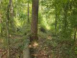TBD Spring Hollow Boulevard - Photo 10