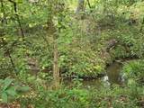 TBD Spring Hollow Boulevard - Photo 4