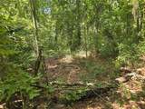 TBD Spring Hollow Boulevard - Photo 5