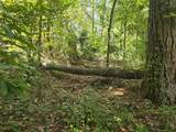 TBD Spring Hollow Boulevard - Photo 6