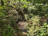 TBD Spring Hollow Boulevard - Photo 9