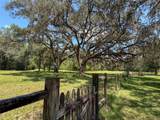 28622 State Road 121 - Photo 24