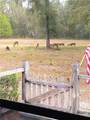 28622 State Road 121 - Photo 33