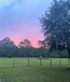 28622 State Road 121 - Photo 34