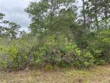 0 Bougainvillea Drive - Photo 4