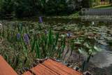 3022 Walden Shores Boulevard - Photo 44