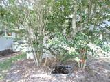 2530 Snapping Turtle Drive - Photo 31