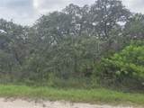 2912 Sand Pine Trail - Photo 4