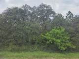 2912 Sand Pine Trail - Photo 5