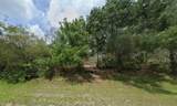 869 Appaloosa Avenue - Photo 3