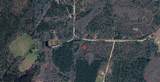  Bill Dixon Road - Photo 2