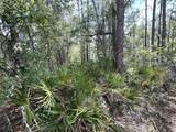 0 Lake Caloosa Landing - Photo 6