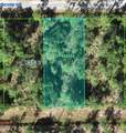 905 Orchid Dr - Photo 1