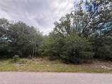 1012 Wildflower Street - Photo 1