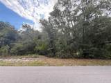 1012 Wildflower Street - Photo 10