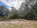 1012 Wildflower Street - Photo 11