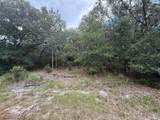 1012 Wildflower Street - Photo 3