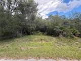 1012 Wildflower Street - Photo 5