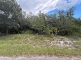 1012 Wildflower Street - Photo 6