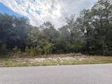 1012 Wildflower Street - Photo 8