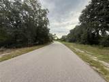 1012 Wildflower Street - Photo 9