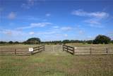 10289 Hwy 555 - Photo 18